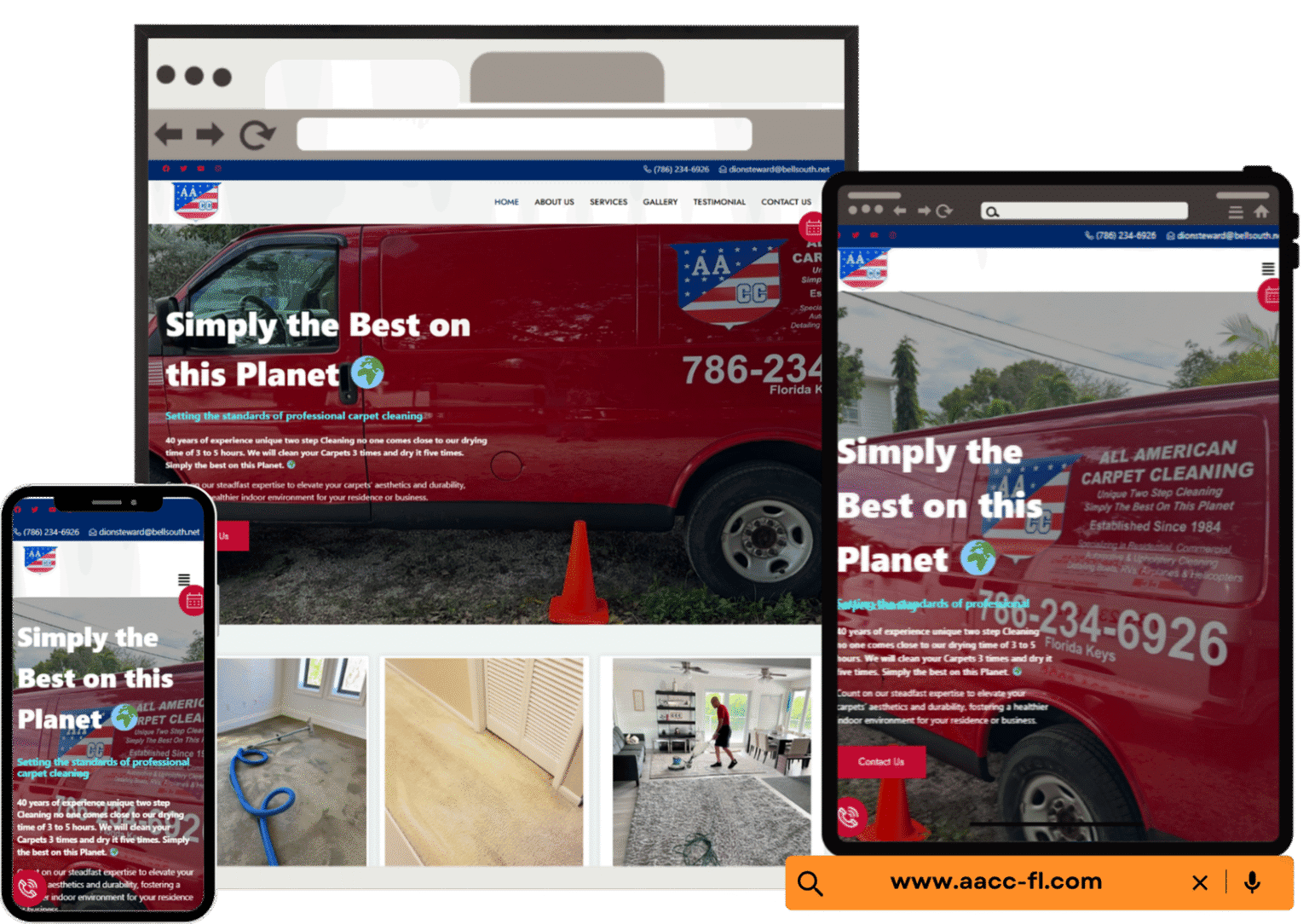 Carpet Cleaning website design project